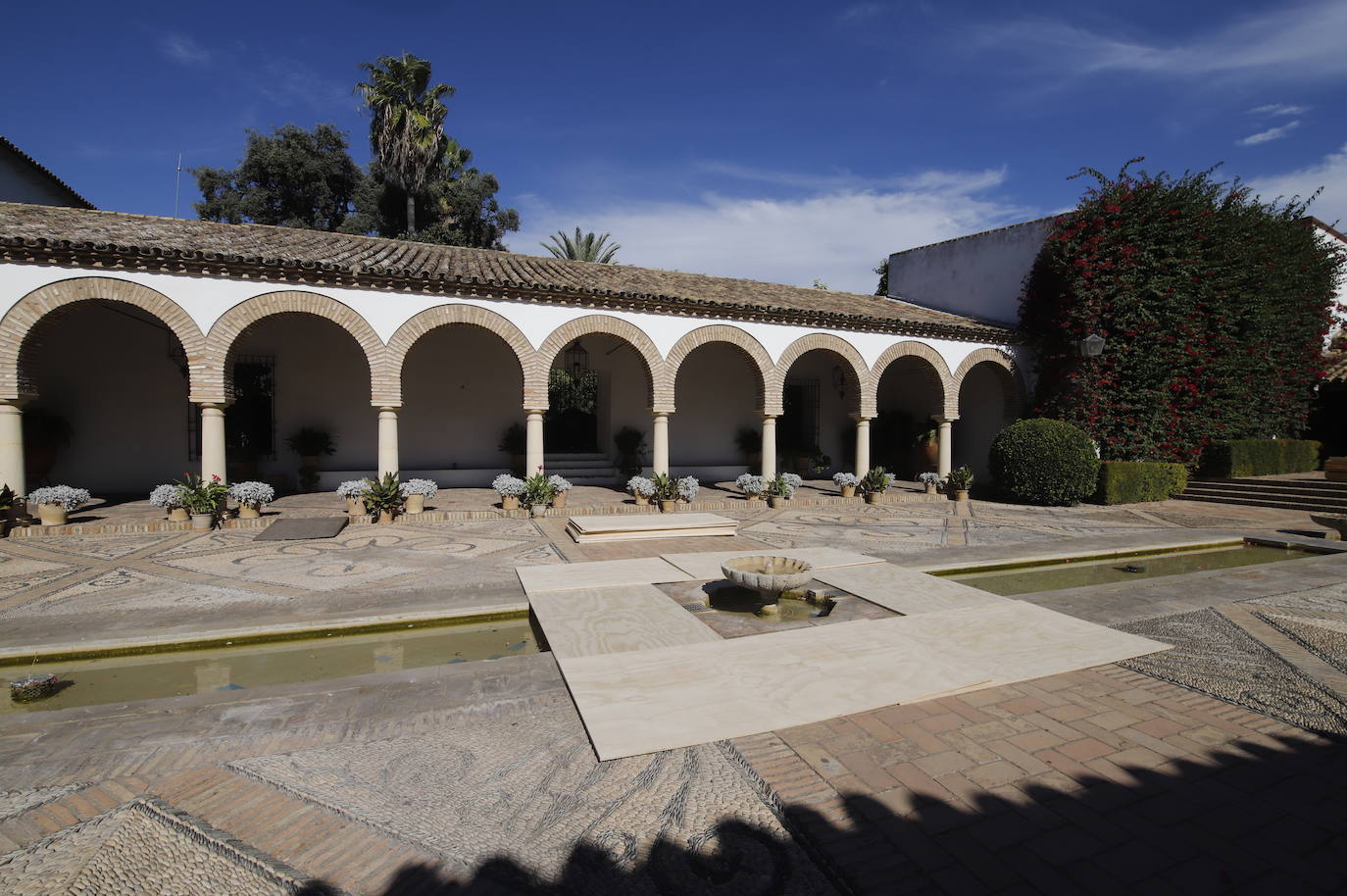 Los preparativos de Festival Flora de Córdoba 2021, en imágenes