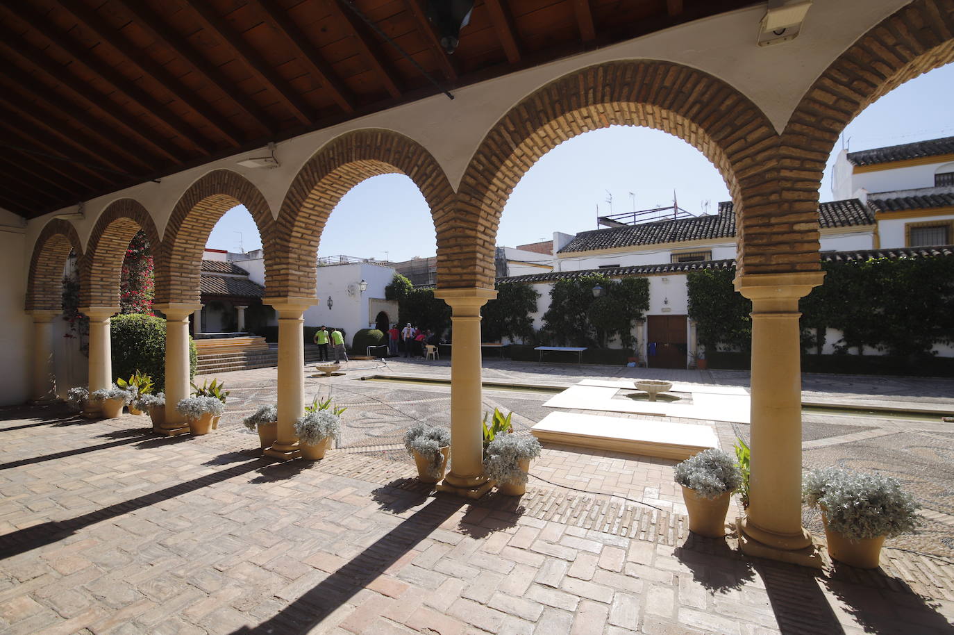 Los preparativos de Festival Flora de Córdoba 2021, en imágenes