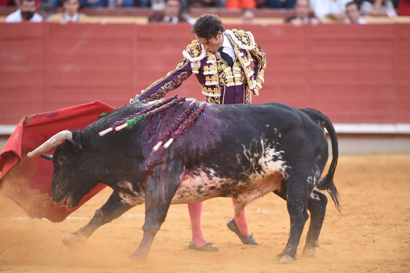 El festejo mixto de Montoro, en imágenes