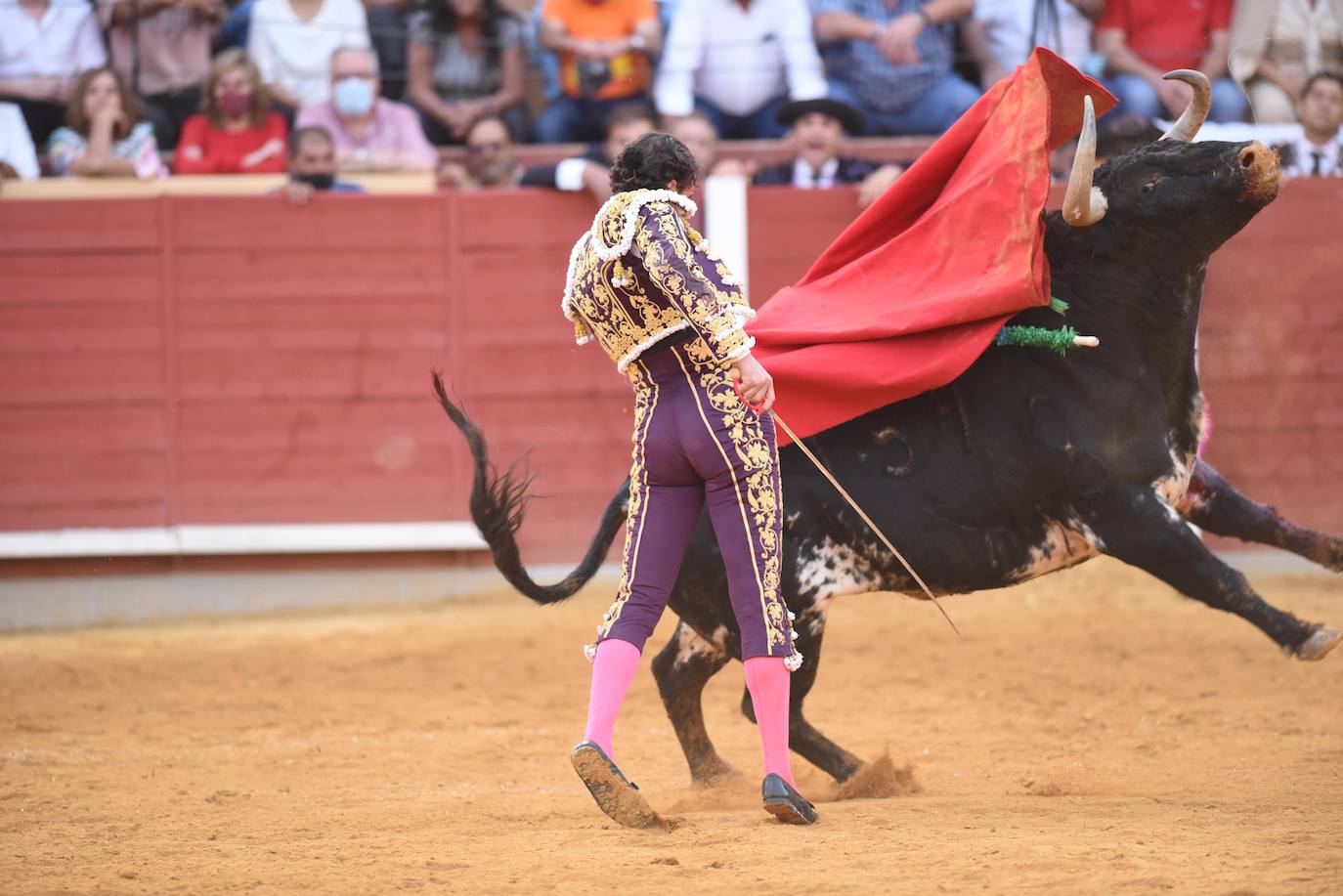 El festejo mixto de Montoro, en imágenes