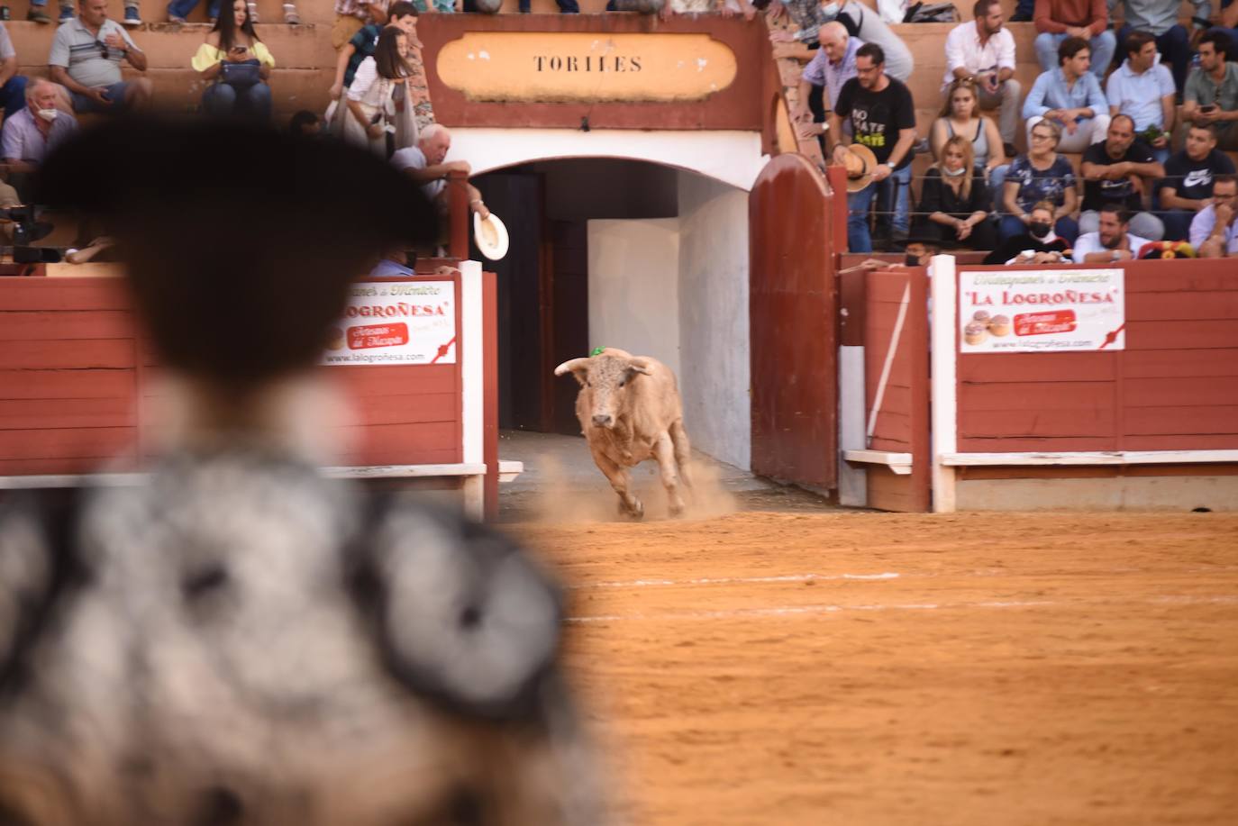 El festejo mixto de Montoro, en imágenes