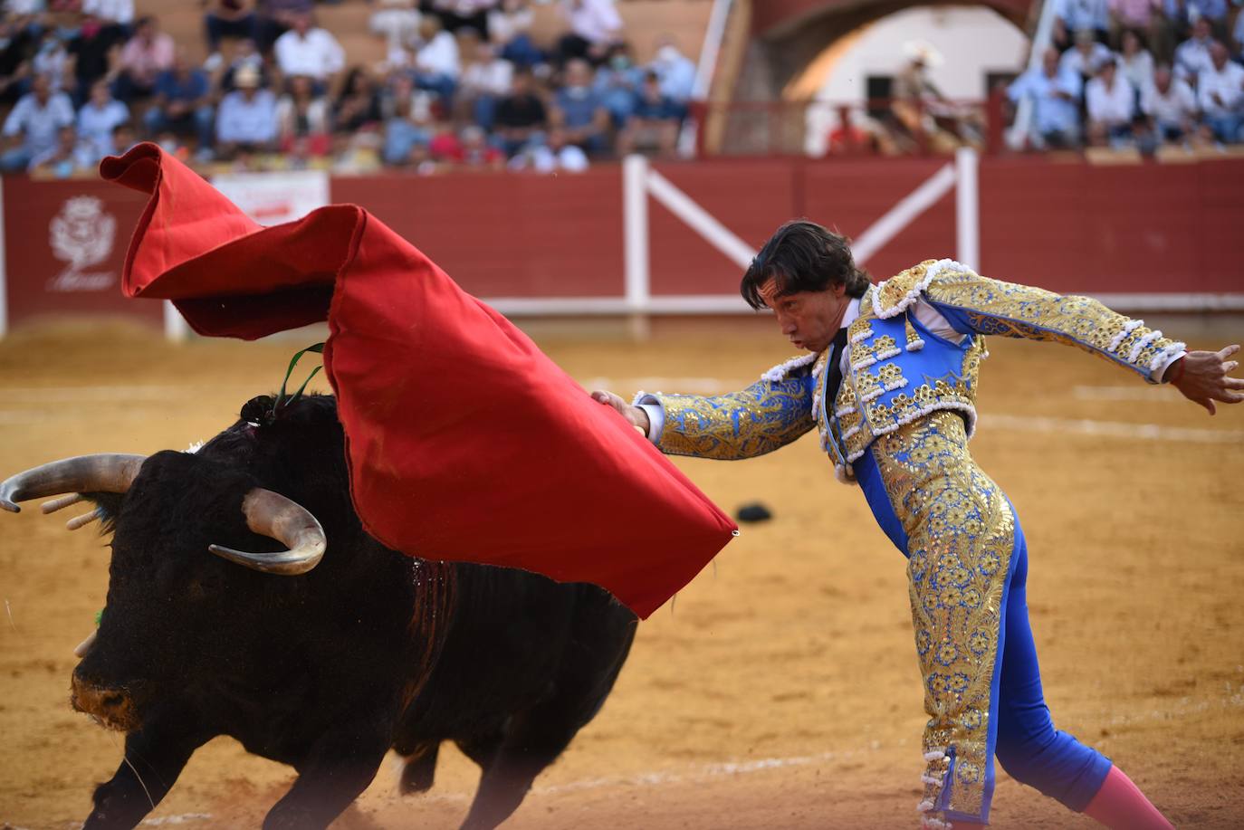 El festejo mixto de Montoro, en imágenes