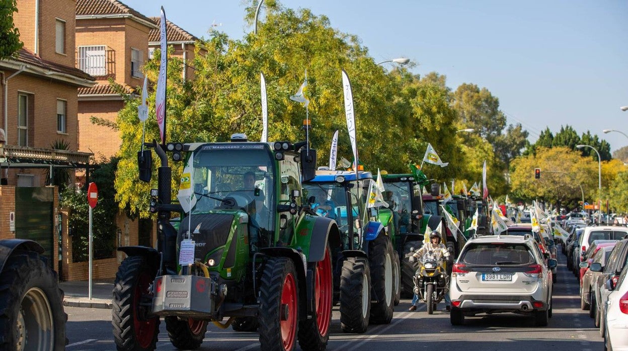 Las imágenes de la protesta contra la PAC de los agricultores andaluces