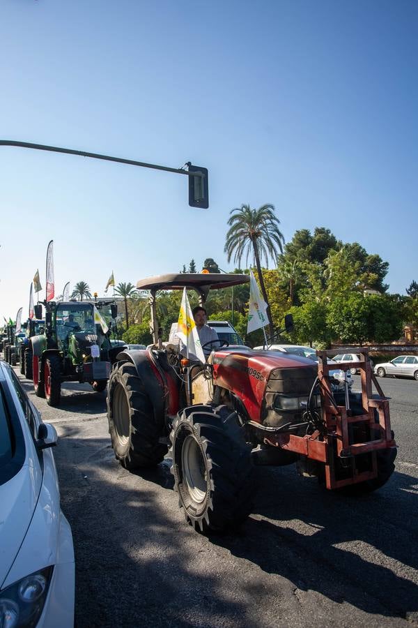 Manifestación de los agricultores andaluces contra la PAC en Sevilla