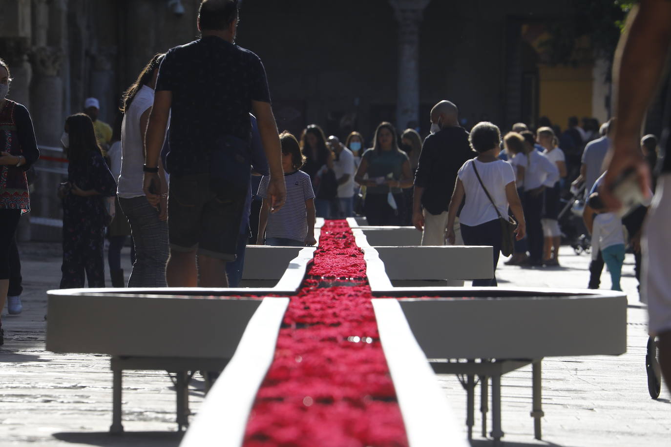 Festival Flora Córdoba | El lleno de la primera jornada en imágenes (II)