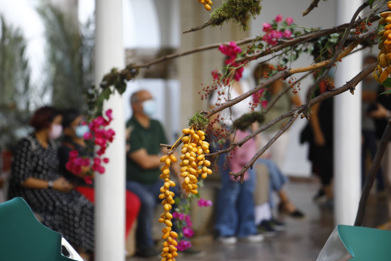 Festival Flora Córdoba | El lleno de la primera jornada en imágenes (II)