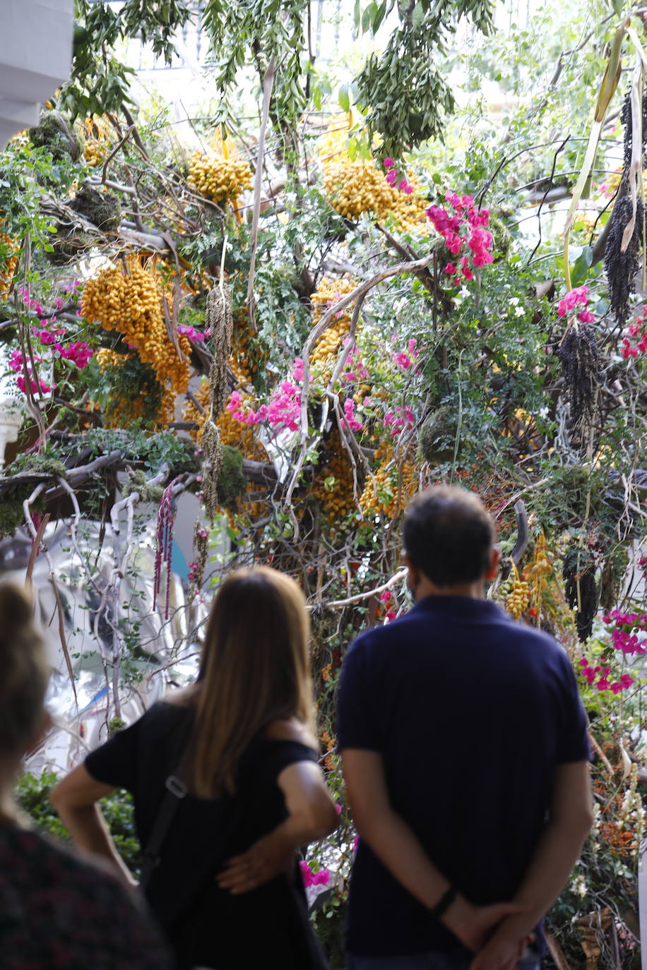 Festival Flora Córdoba | El lleno de la primera jornada en imágenes (II)