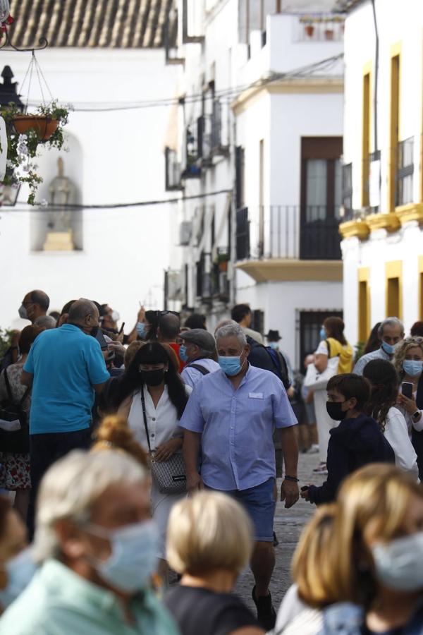 La apertura extraordinaria de los Patios de Córdoba, en imágenes