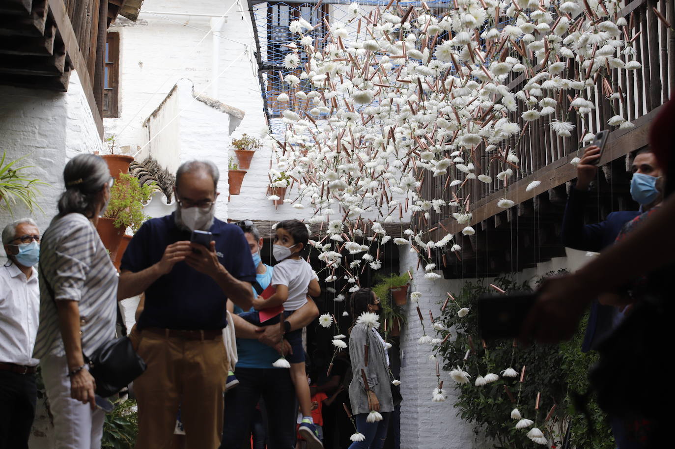 Festival Flora Córdoba 2021 | Gran ambiente de público en los patios, en imágenes (II)