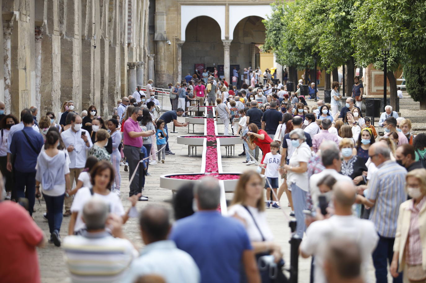 Festival Flora Córdoba 2021 | Gran ambiente de público en los patios, en imágenes (II)