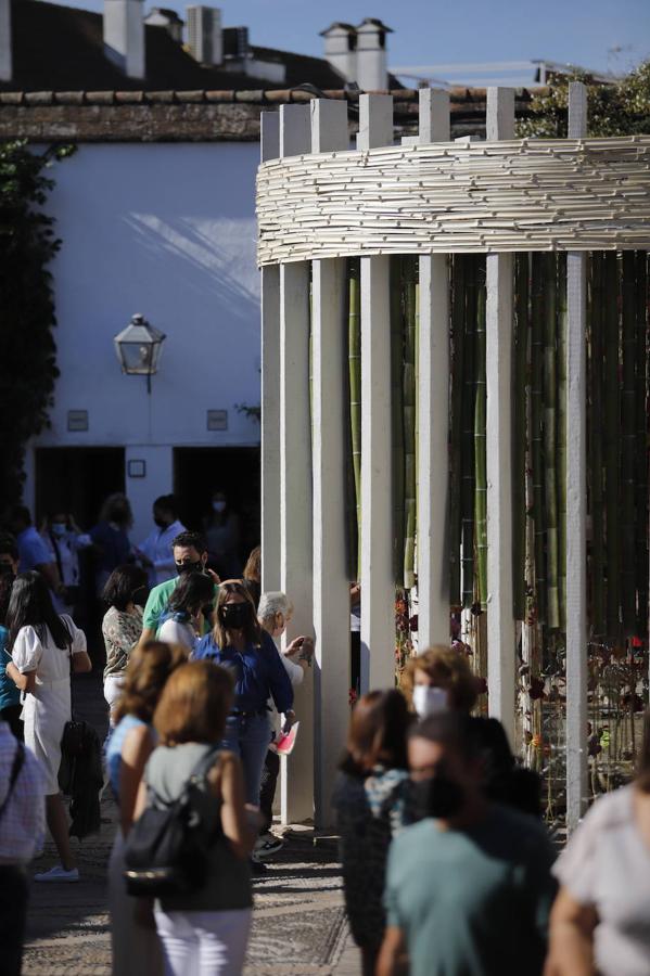 Festival Flora Córdoba 2021 | Gran ambiente de público en los patios, en imágenes (I)