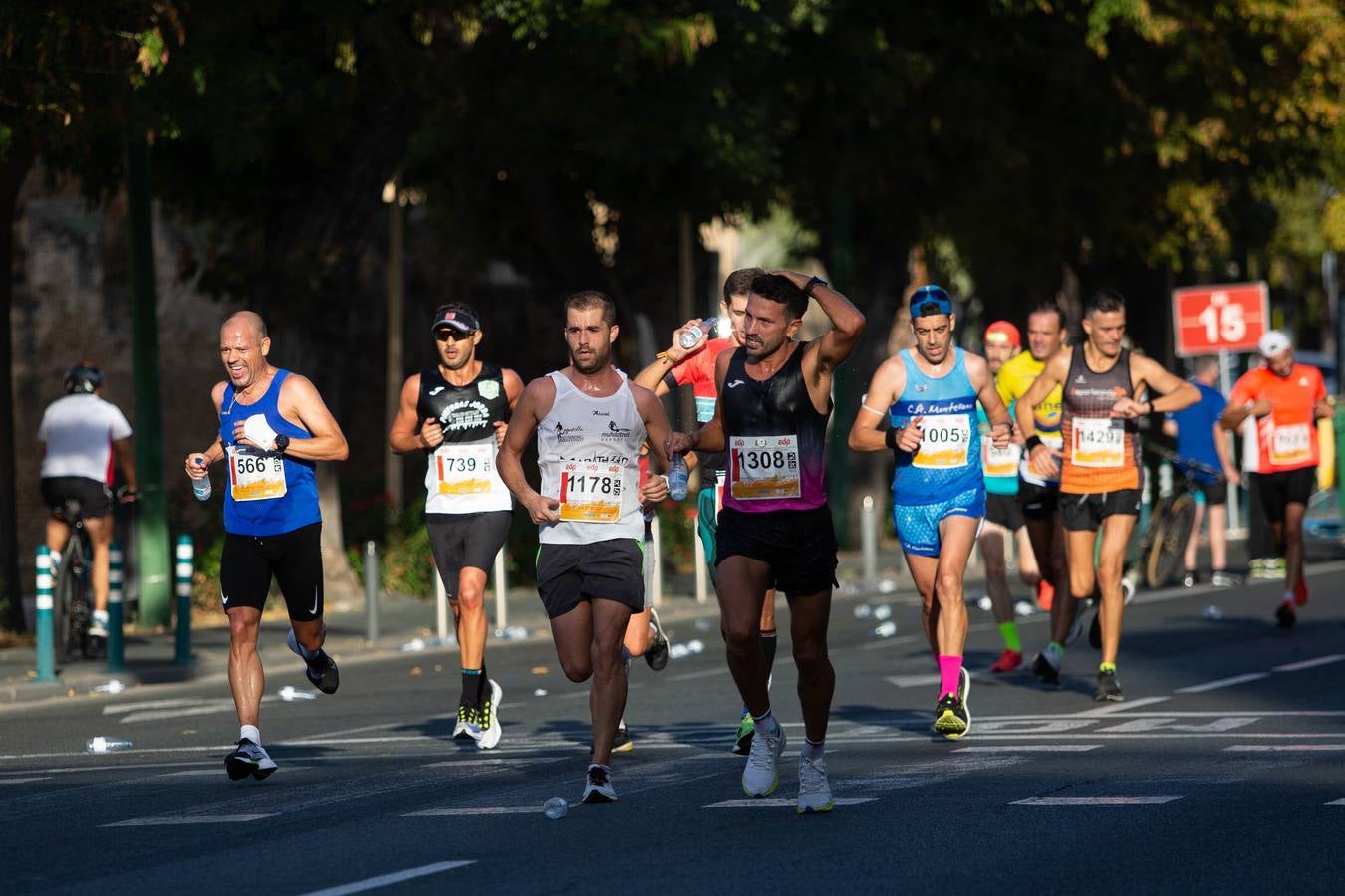 ¿Has corrido la Media Maratón de Sevilla? Búscate aquí (V)