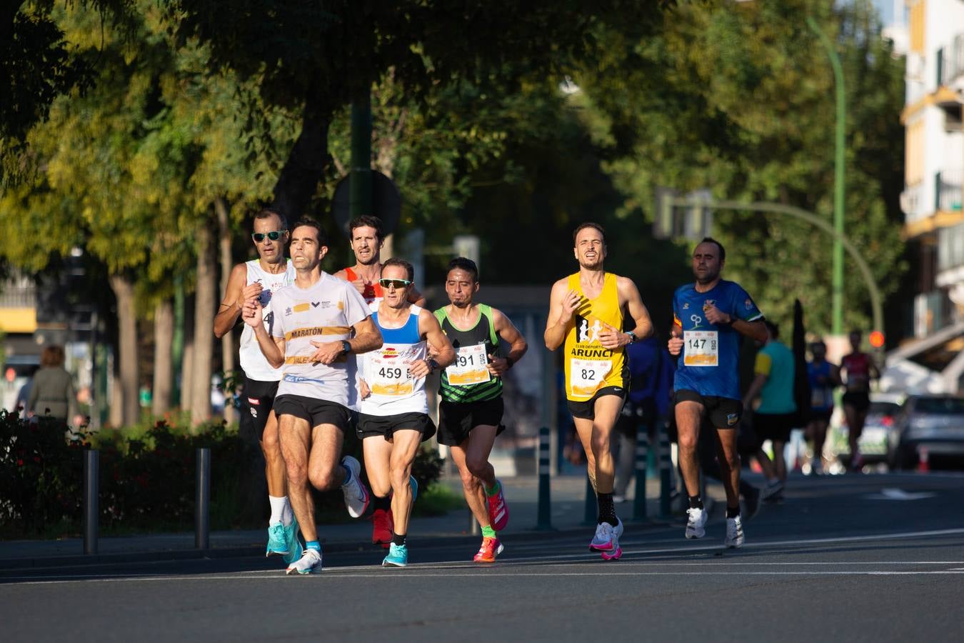 ¿Has corrido la Media Maratón de Sevilla? Búscate aquí (III)