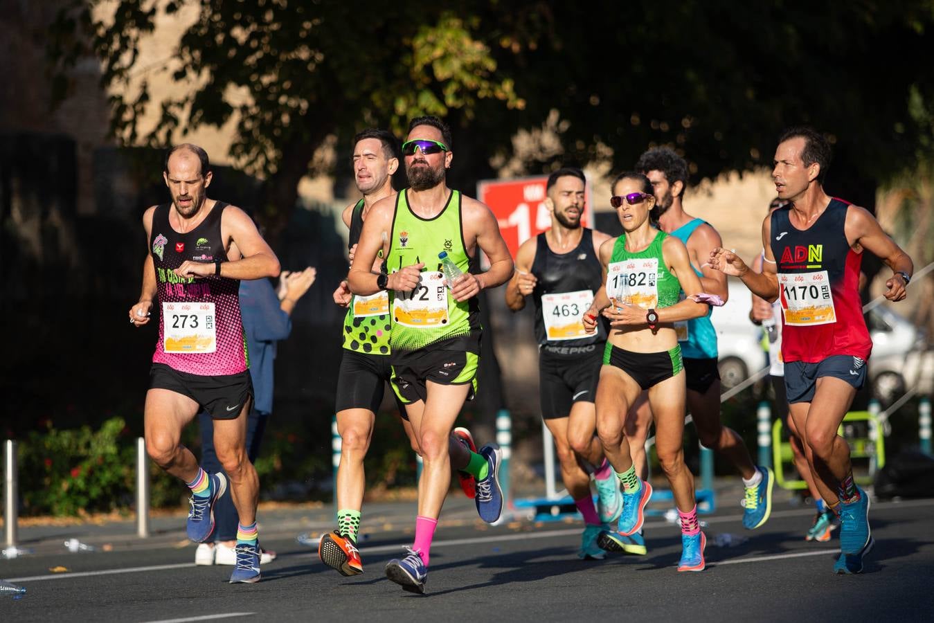 ¿Has corrido la Media Maratón de Sevilla? Búscate aquí (V)