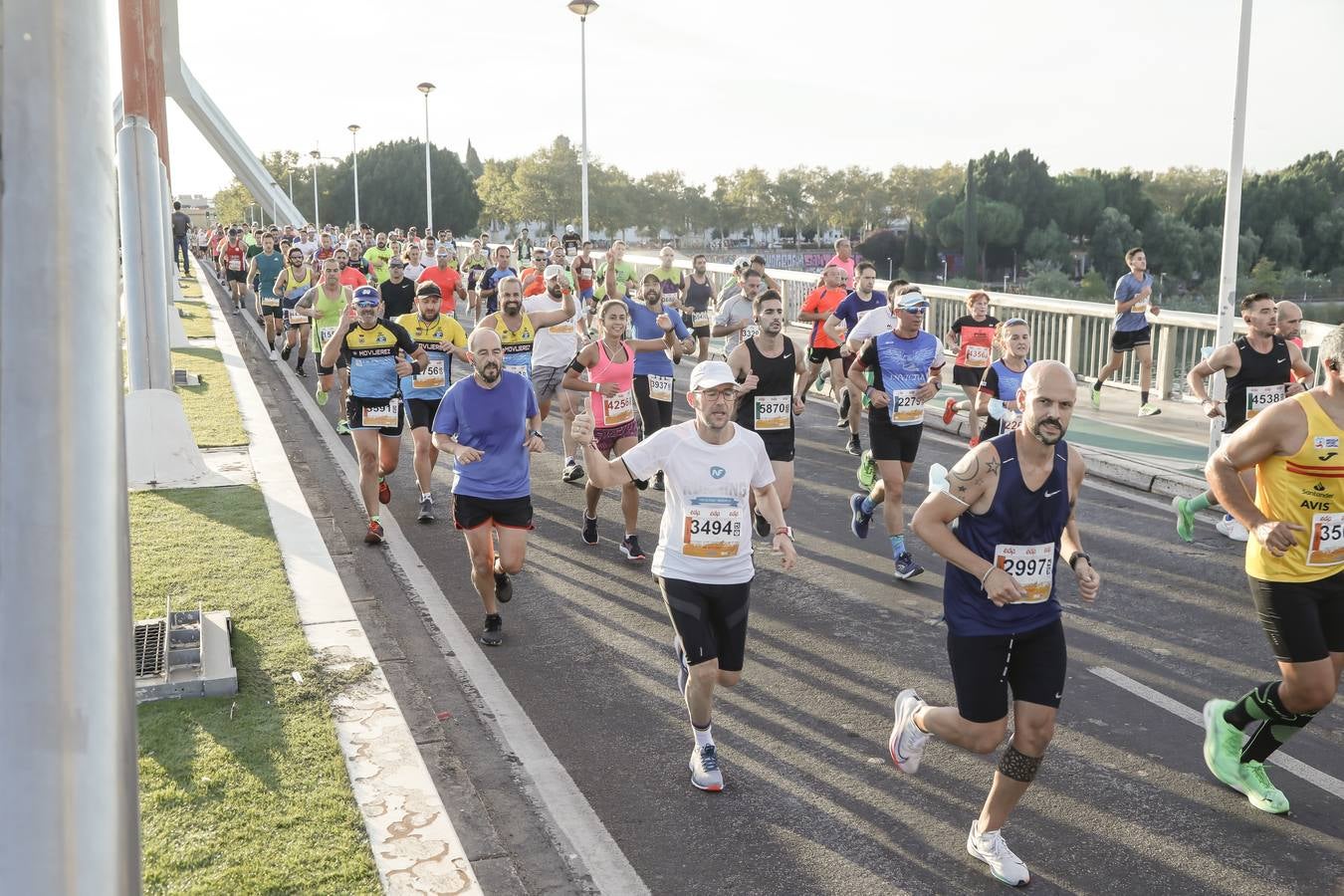 ¿Has corrido la Media Maratón de Sevilla? Búscate aquí (II)