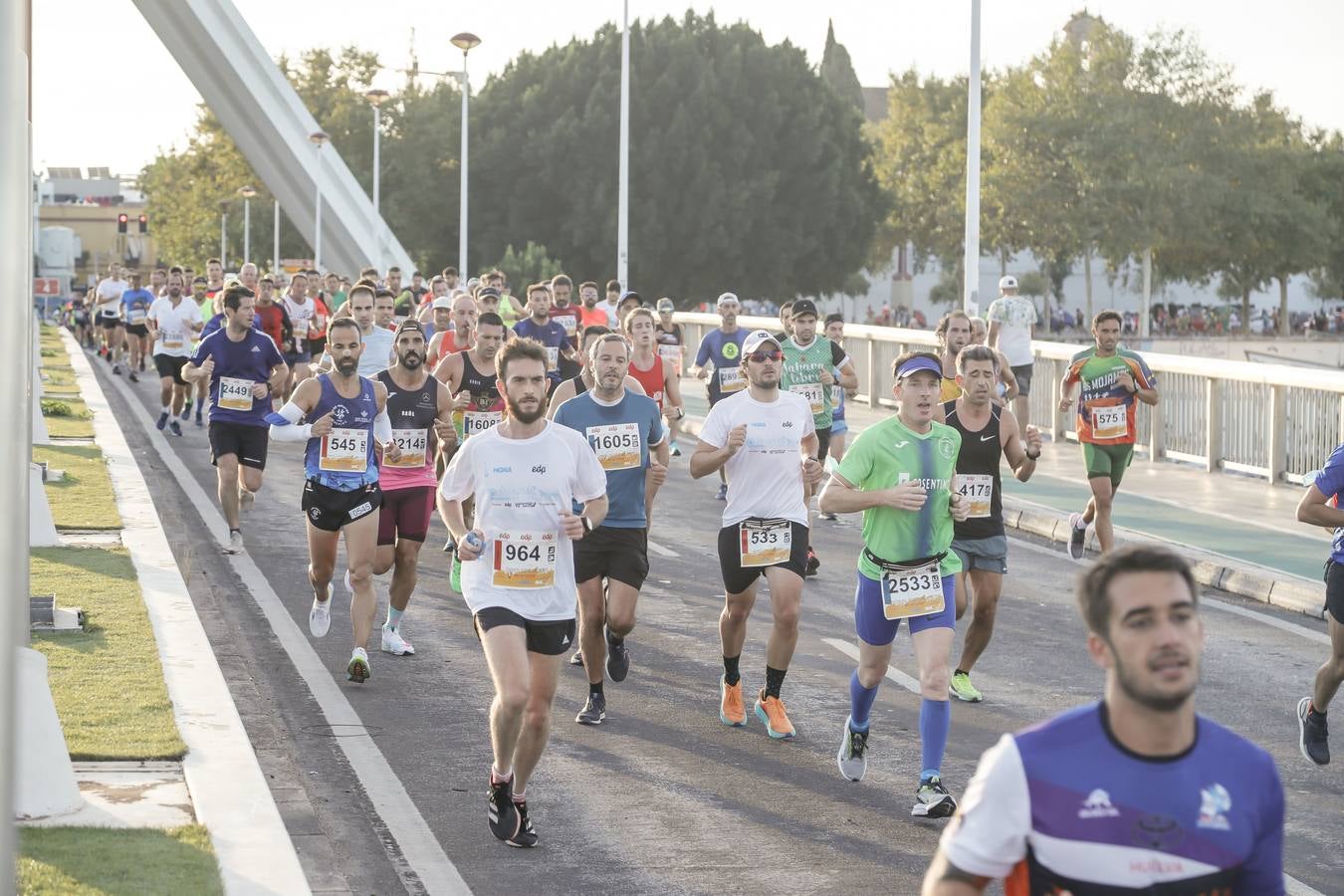 ¿Has corrido la Media Maratón de Sevilla? Búscate aquí (VI)