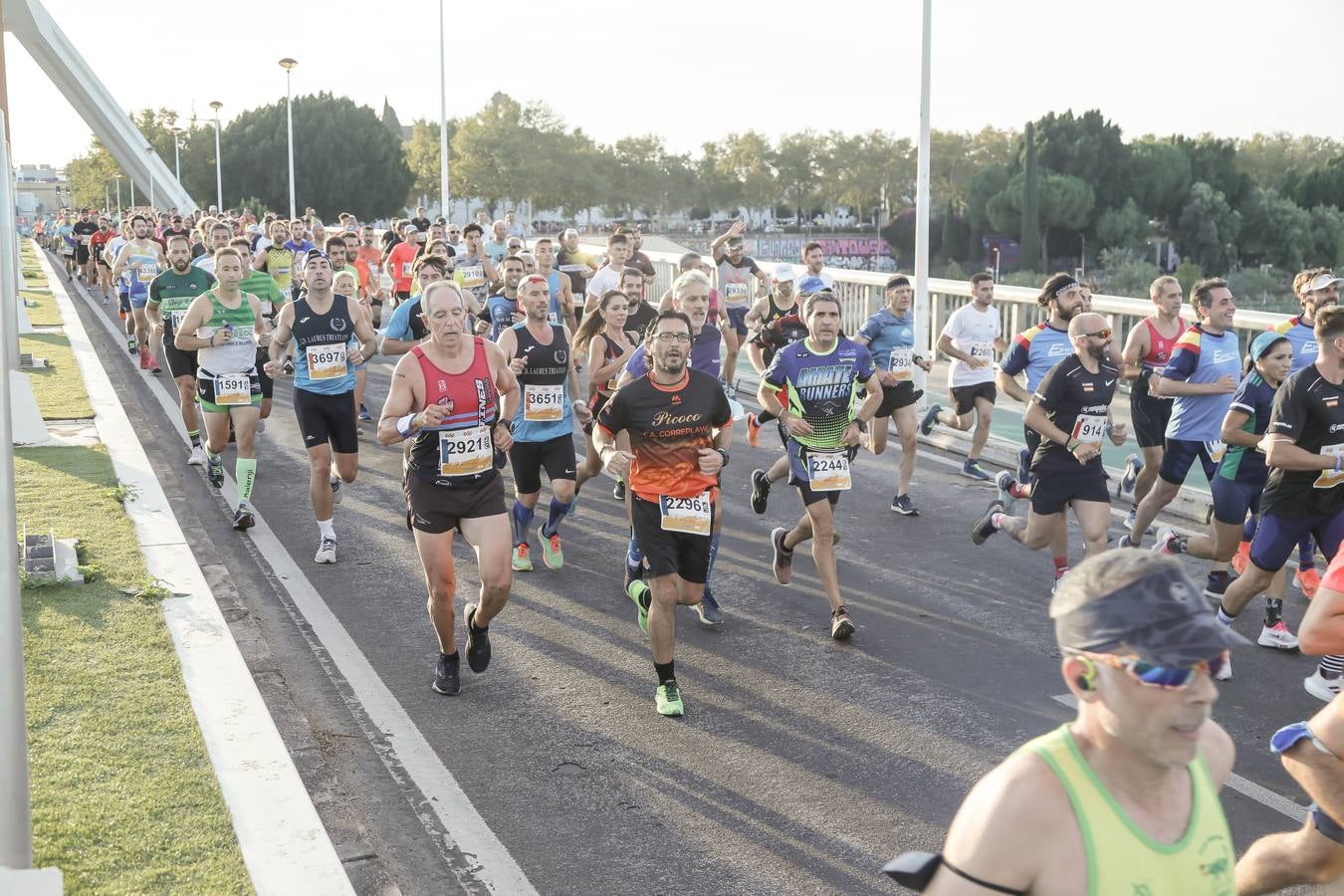 ¿Has corrido la Media Maratón de Sevilla? Búscate aquí (II)