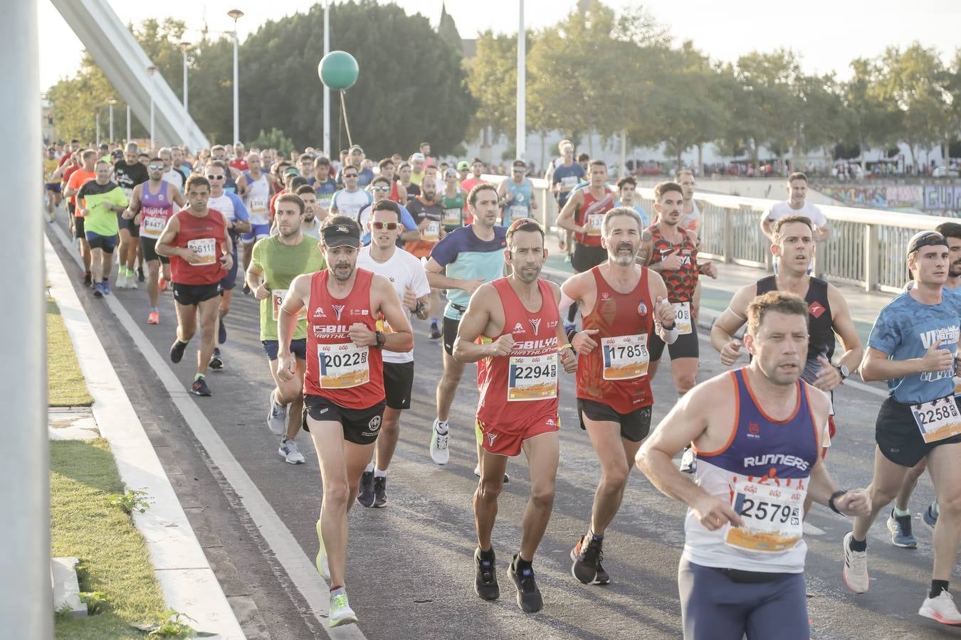 ¿Has corrido la Media Maratón de Sevilla? Búscate aquí (II)