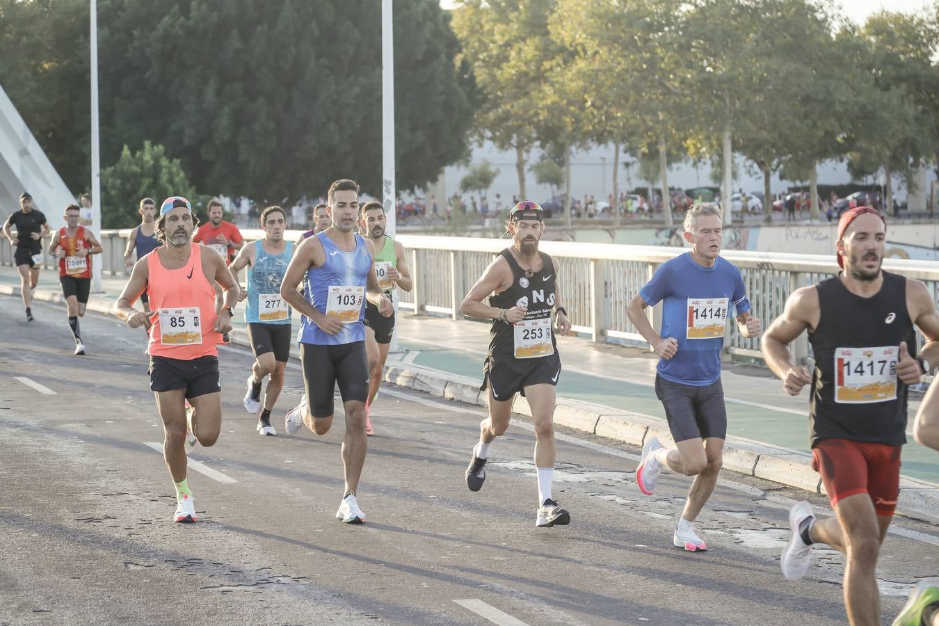 ¿Has corrido la Media Maratón de Sevilla? Búscate aquí (II)