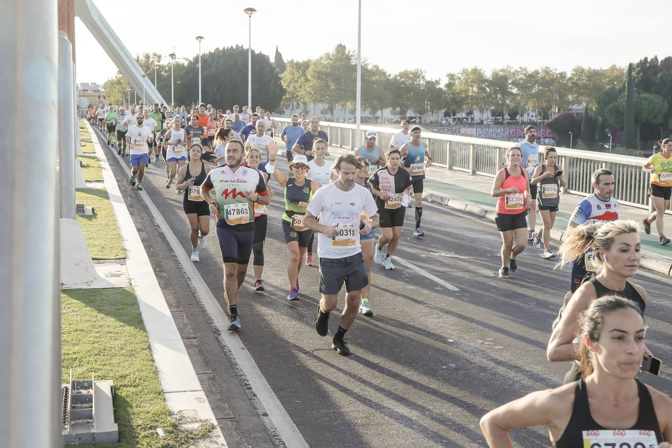 ¿Has corrido la Media Maratón de Sevilla? Búscate aquí (IV)