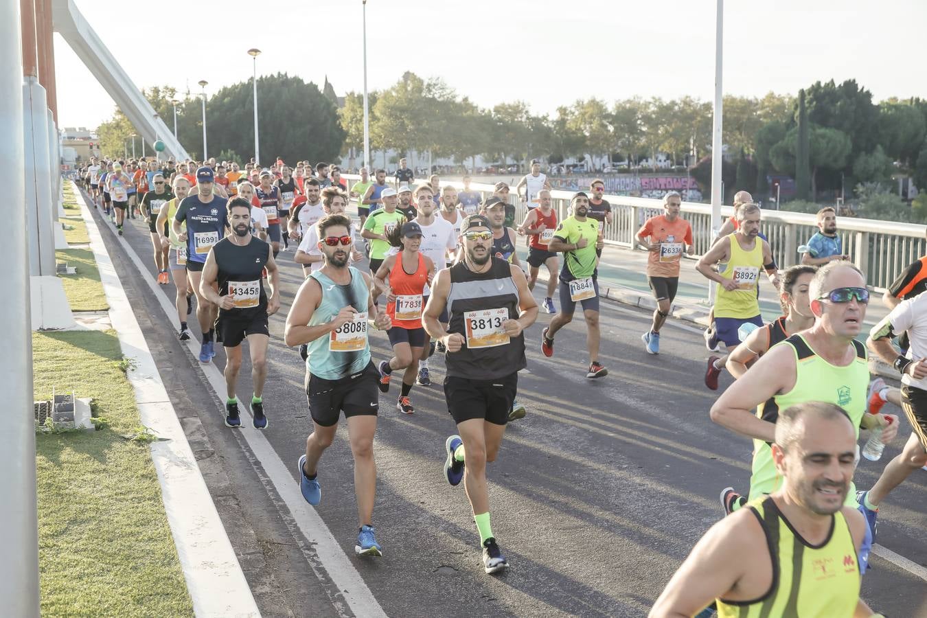 ¿Has corrido la Media Maratón de Sevilla? Búscate aquí (II)