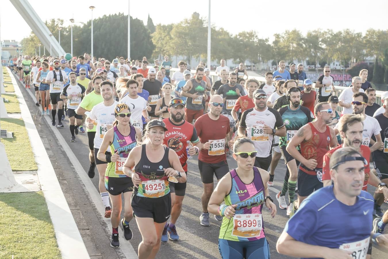 ¿Has corrido la Media Maratón de Sevilla? Búscate aquí (IV)