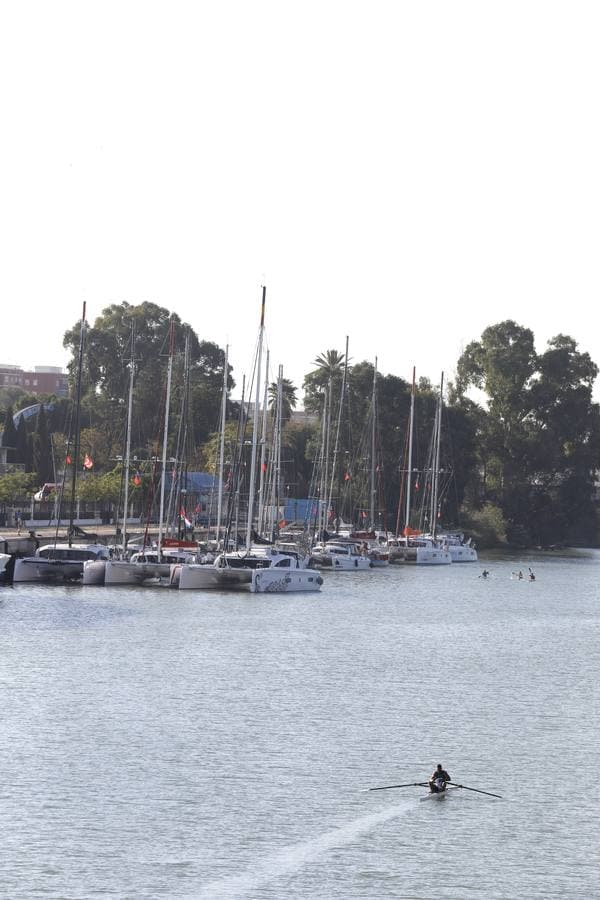 Los veleros que participarán en la travesía ya se encuentran en el Puerto de Sevilla