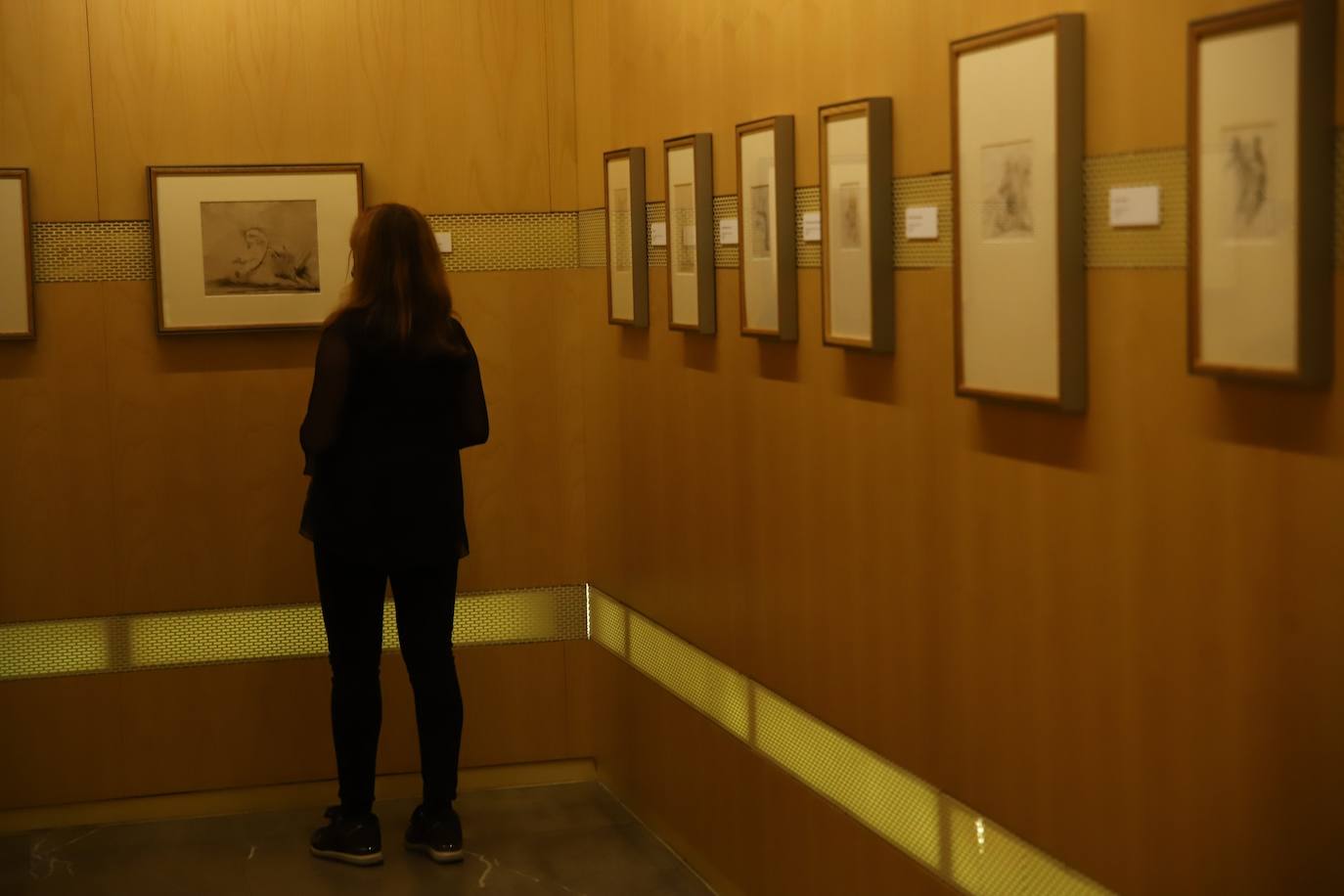 La exposición de dibujos de Verdiguier en Córdoba, en imágenes