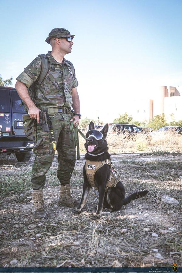 Fotos: Las unidades caninas de la Armada, en pleno ejercicio en Cádiz