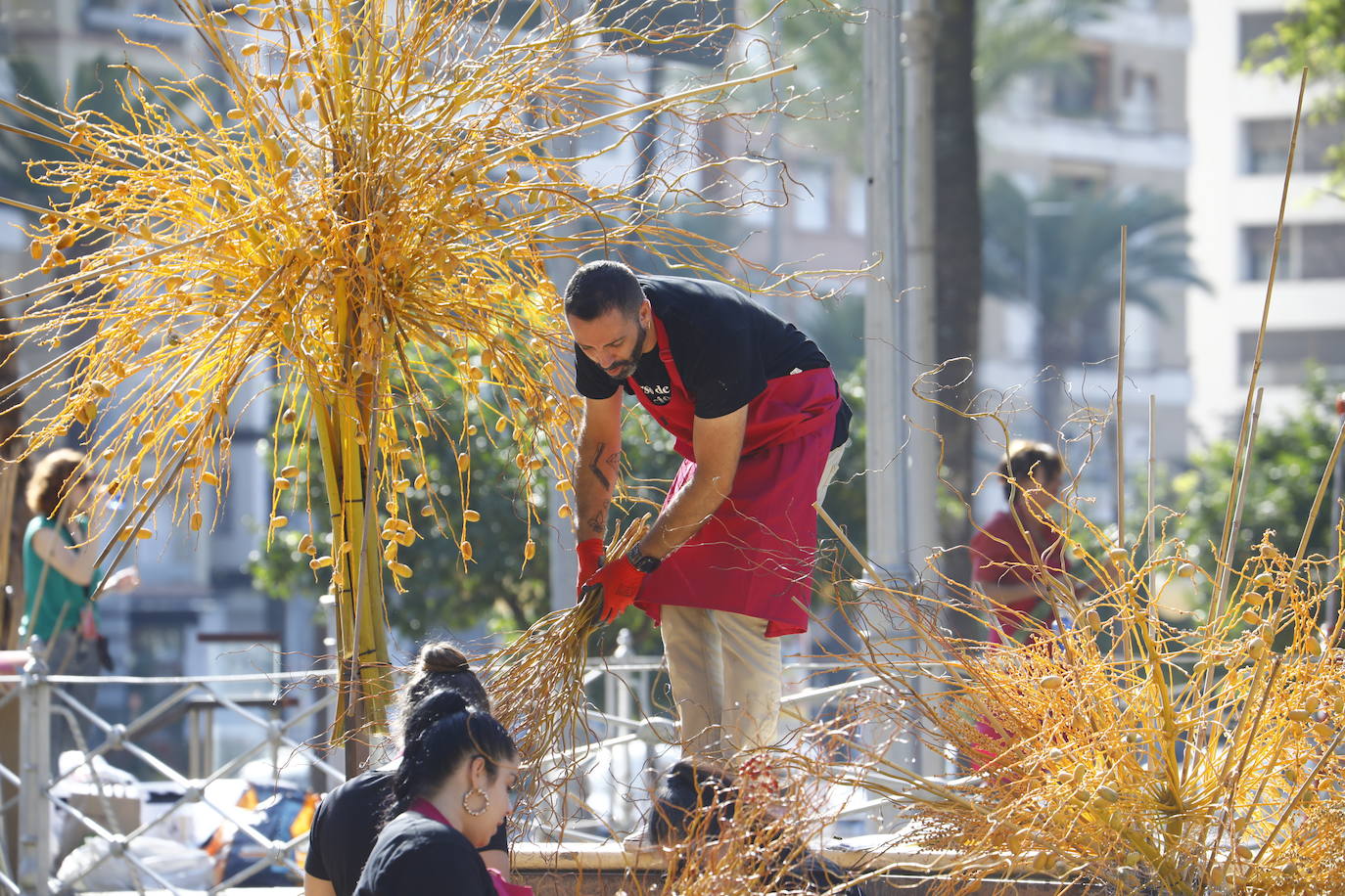 Flora Córdoba 2021 | La guerrilla final, en imágenes