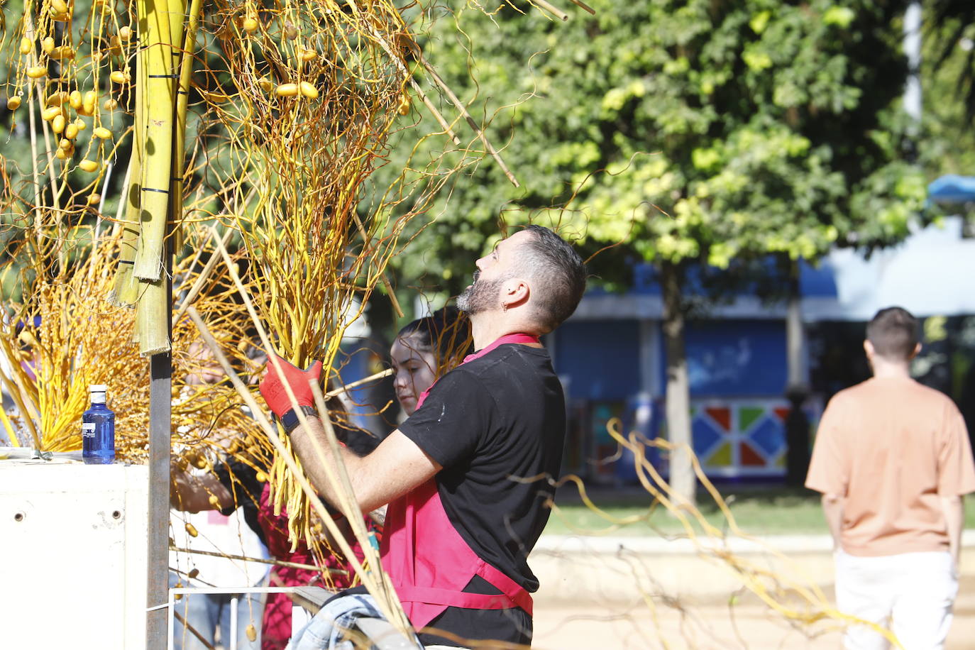 Flora Córdoba 2021 | La guerrilla final, en imágenes