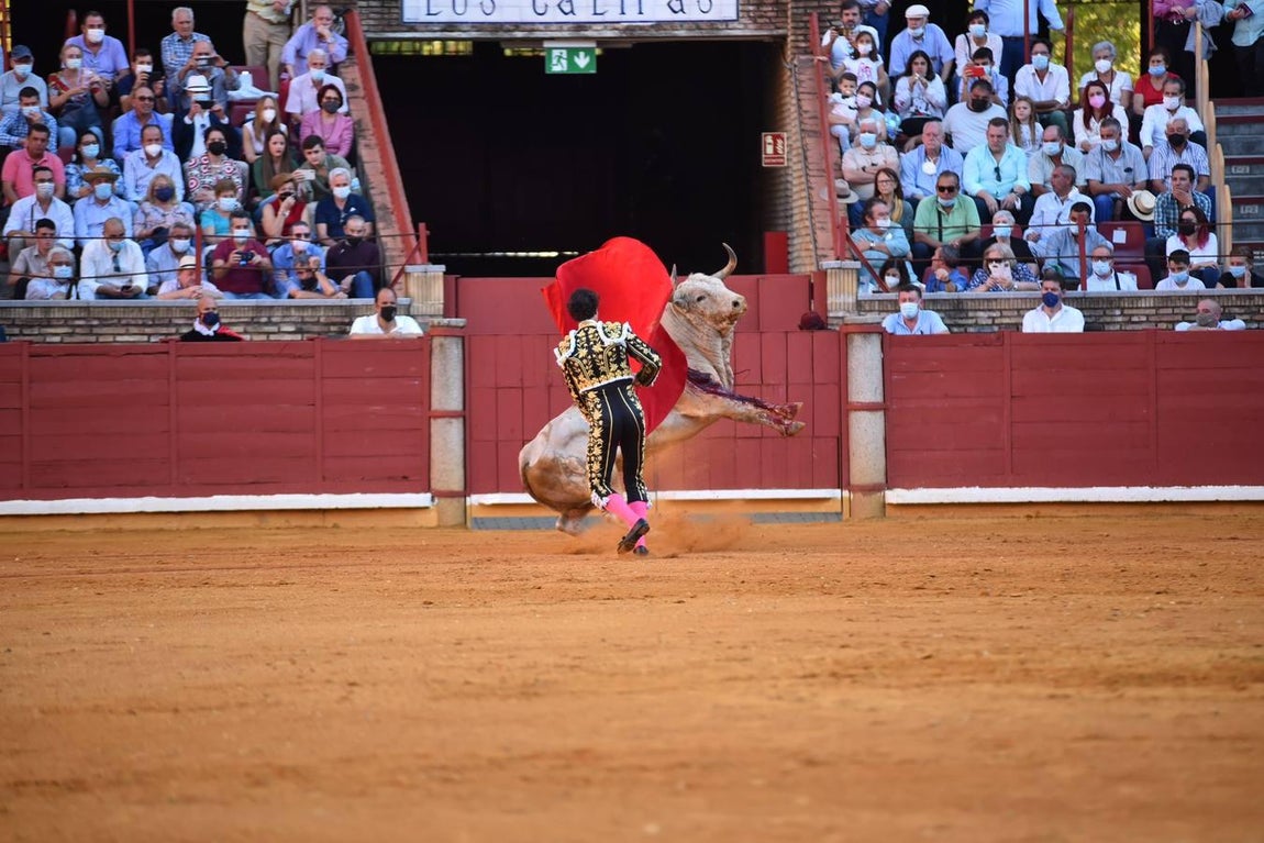 Toros en Córdoba | El cierre de temporada de Finito de Córdoba, en imágenes