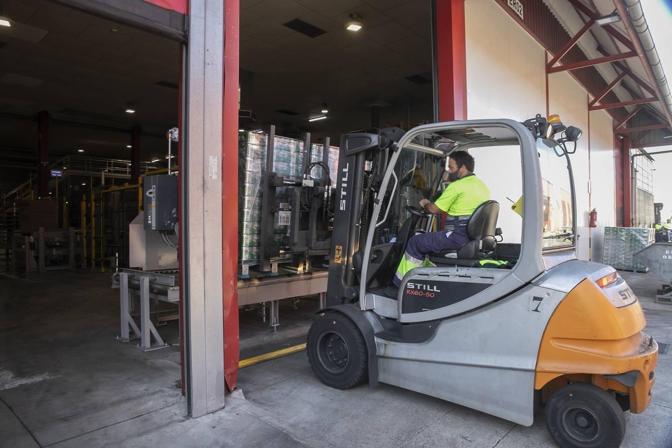 La fábrica de Mahou en Córdoba, en imágenes