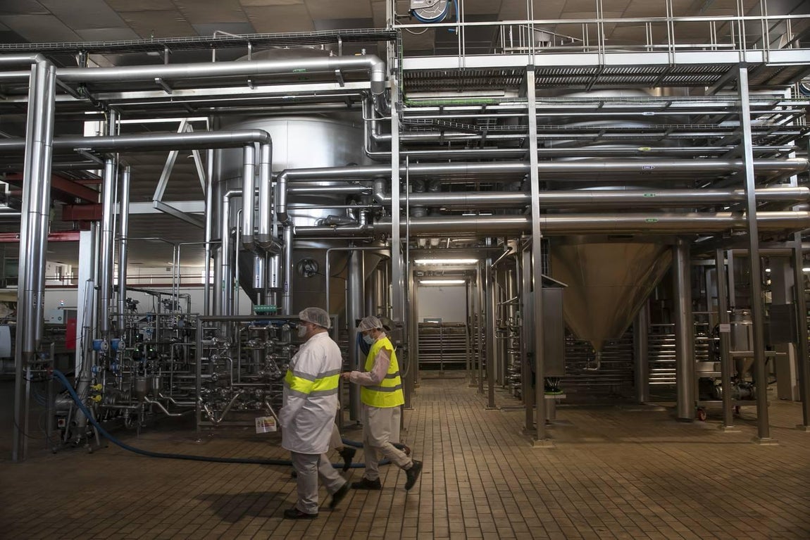 La fábrica de Mahou en Córdoba, en imágenes