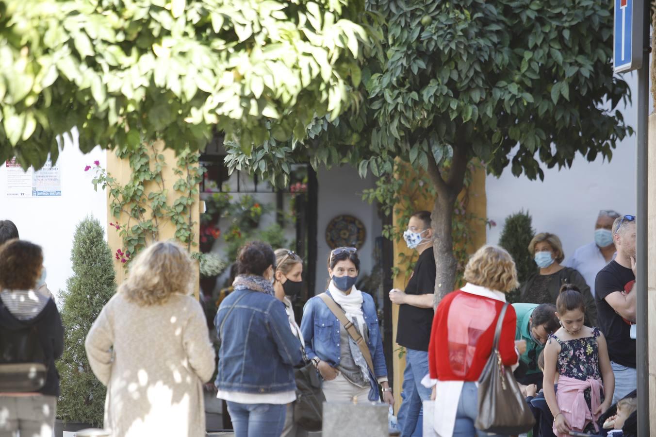 Los patios de octubre de Córdoba, en imágenes