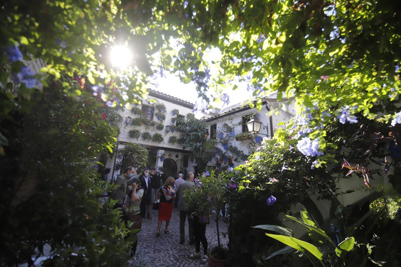 Los patios de octubre de Córdoba, en imágenes