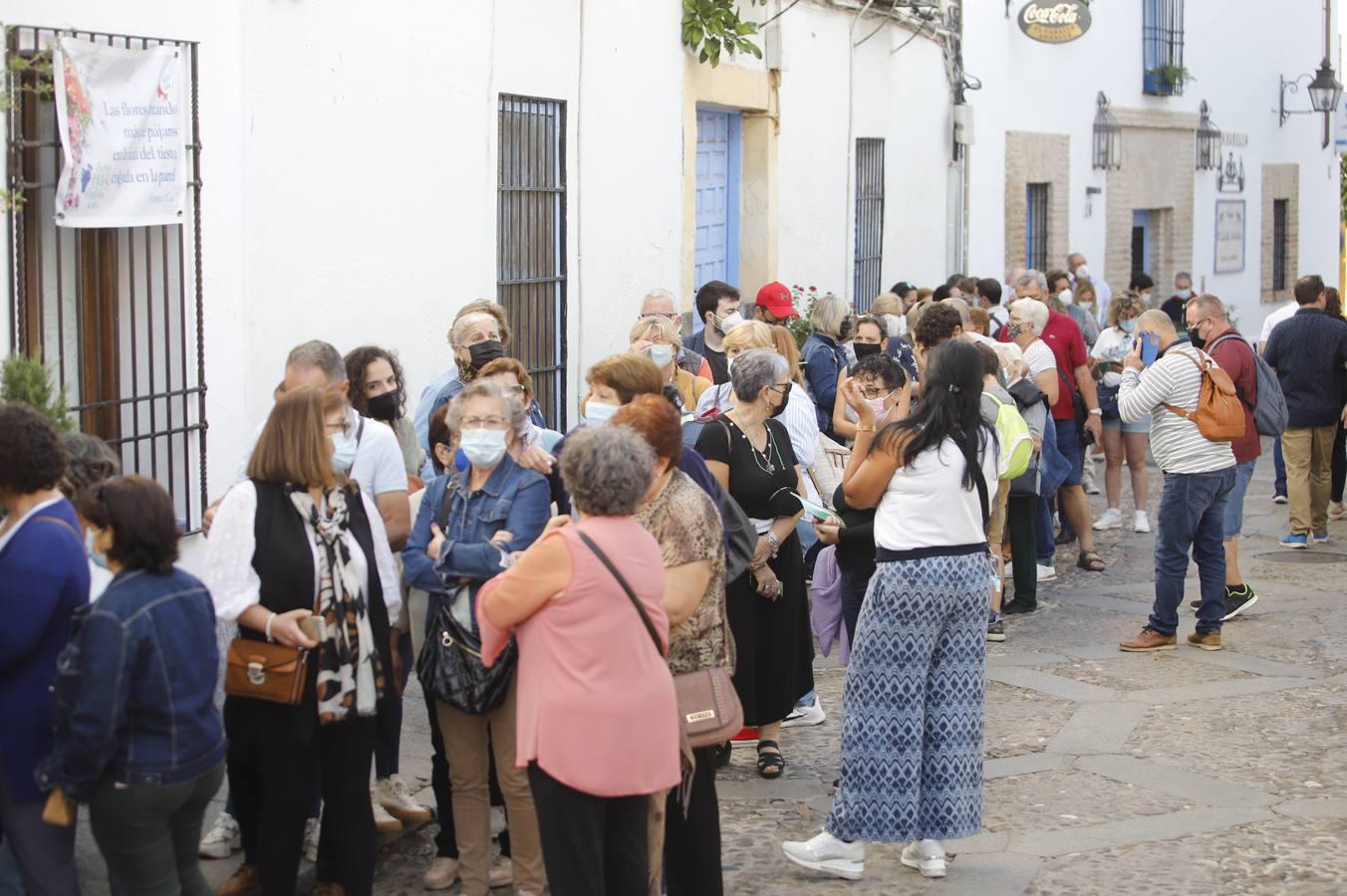 Los patios de octubre de Córdoba, en imágenes