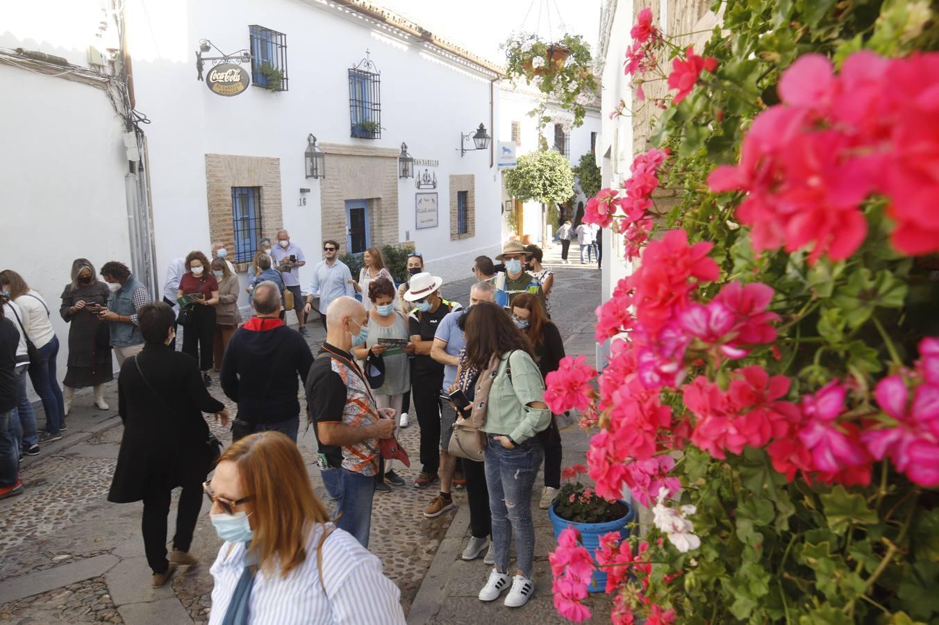 Los patios de octubre de Córdoba, en imágenes