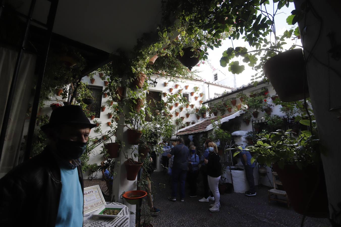 Los patios de octubre de Córdoba, en imágenes