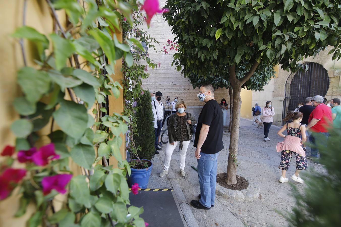 Los patios de octubre de Córdoba, en imágenes