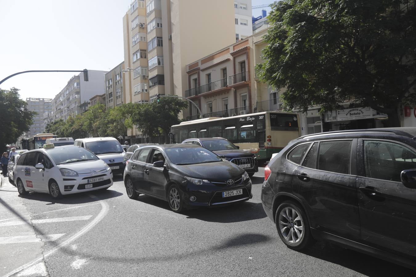 Fotos: Marea Blanca se moviliza en Cádiz por la sanidad pública