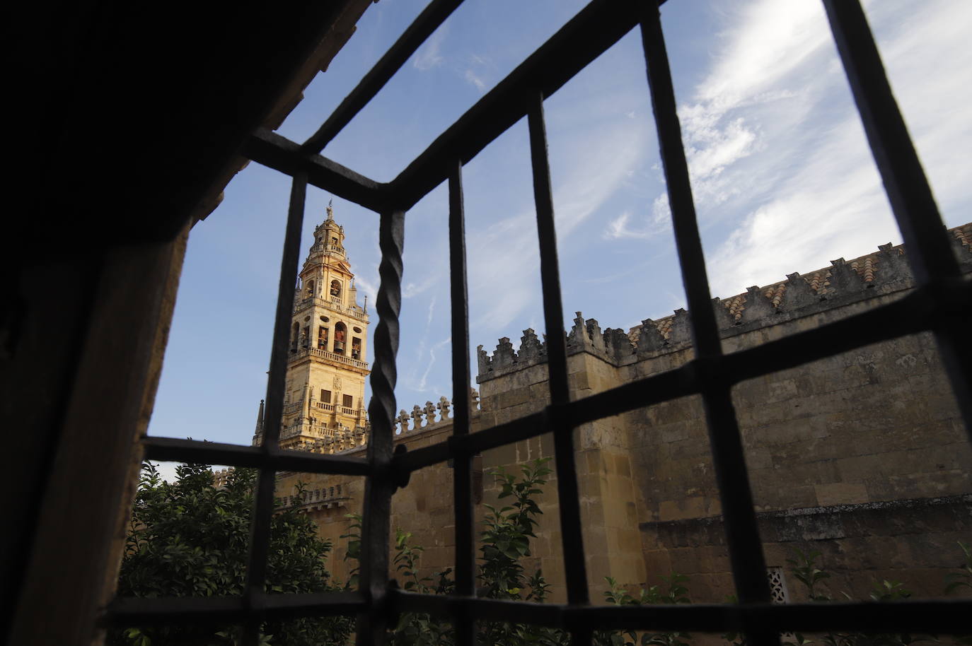 La fase final de las obras del Palacio de Congresos de Córdoba, en imágenes