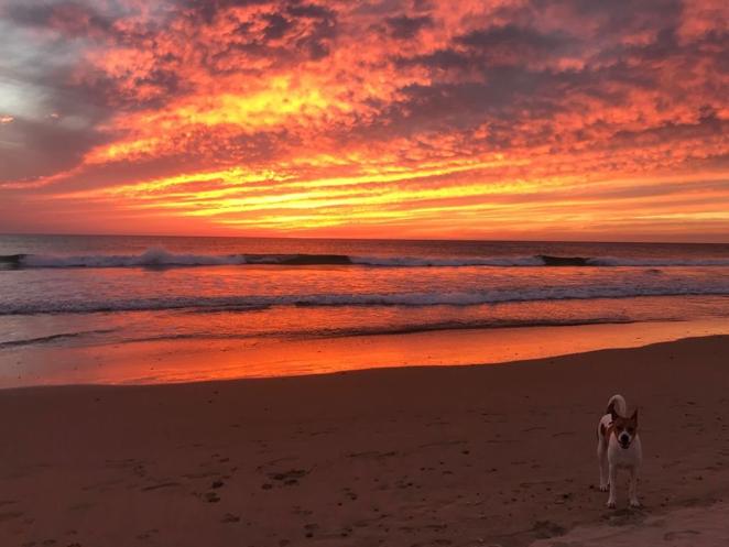 Fotos: El atardecer en la provincia de Cádiz