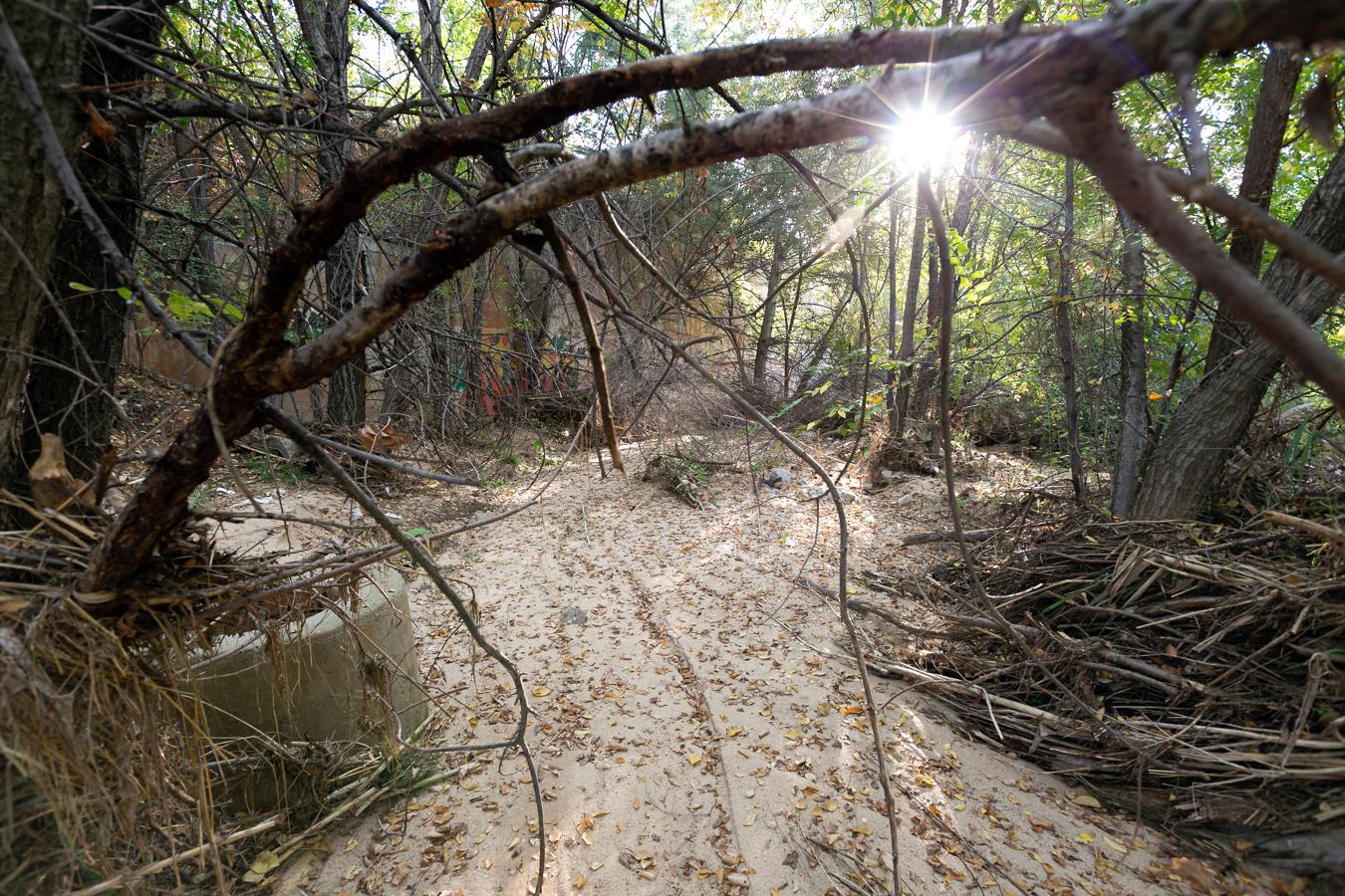 El arroyo del Aserradero, en imágenes