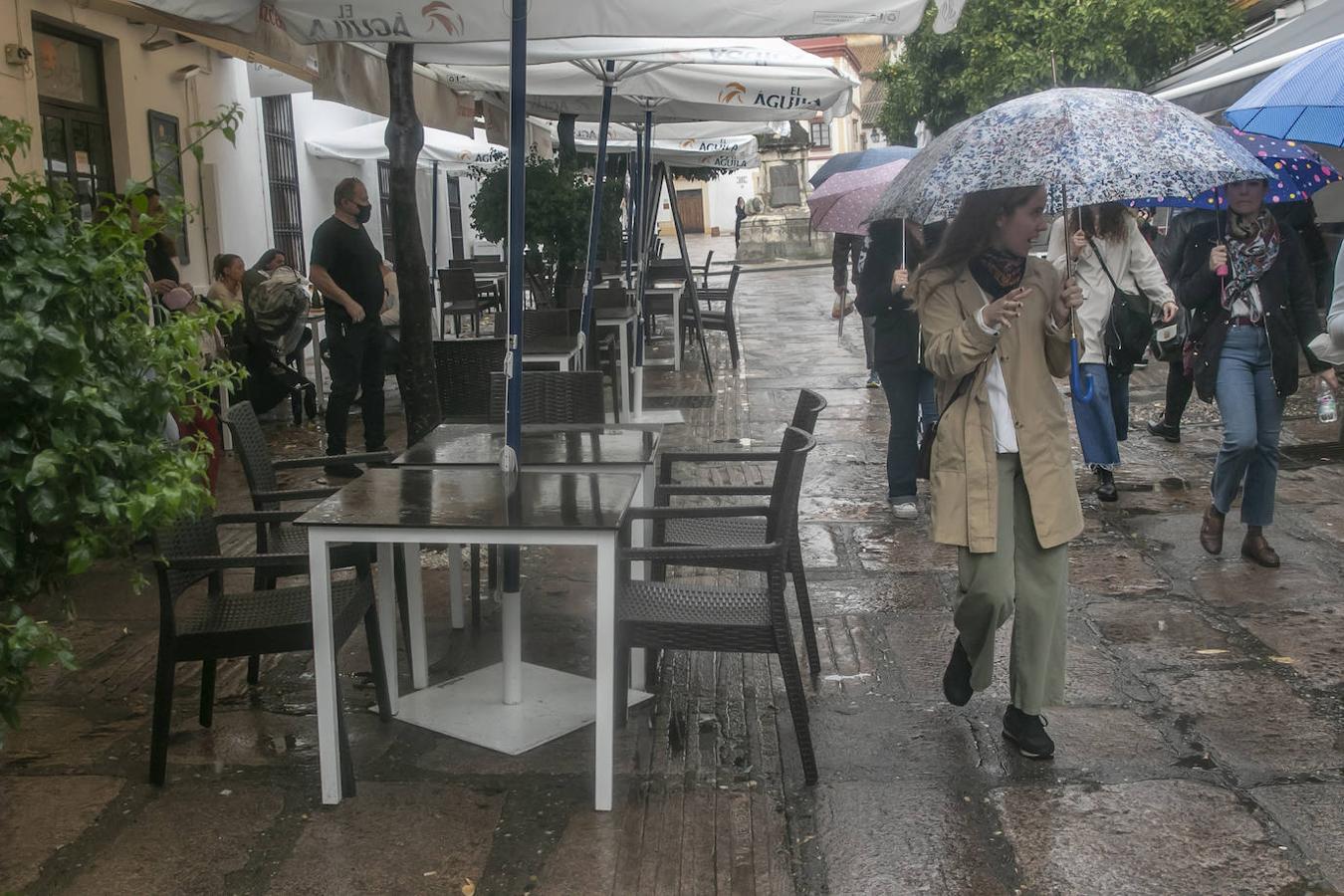 El turismo en el Puente de Todos los Santos en Córdoba, en imágenes