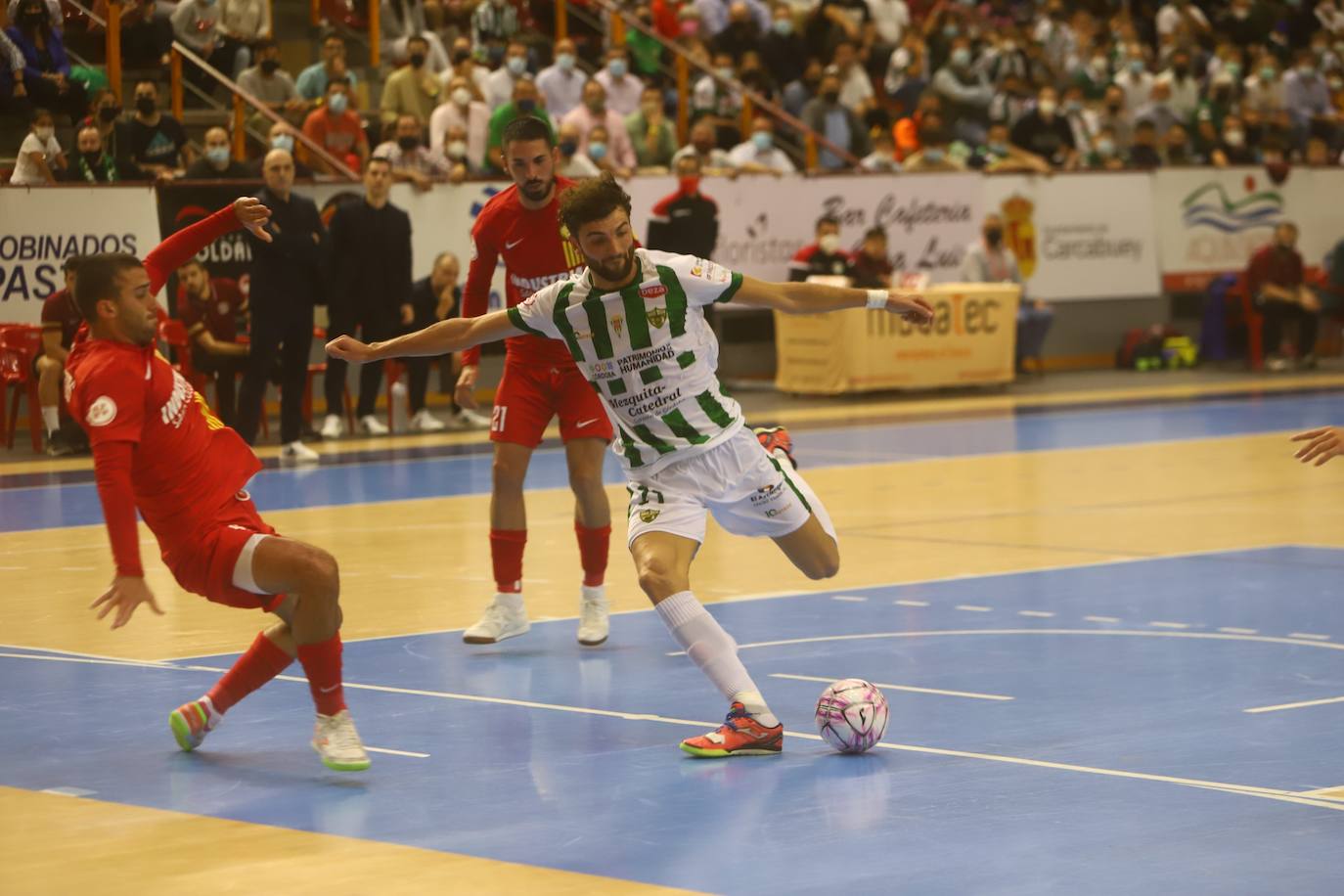 El Córdoba Patrimonio - Santa Coloma de fútbol sala, en imágenes