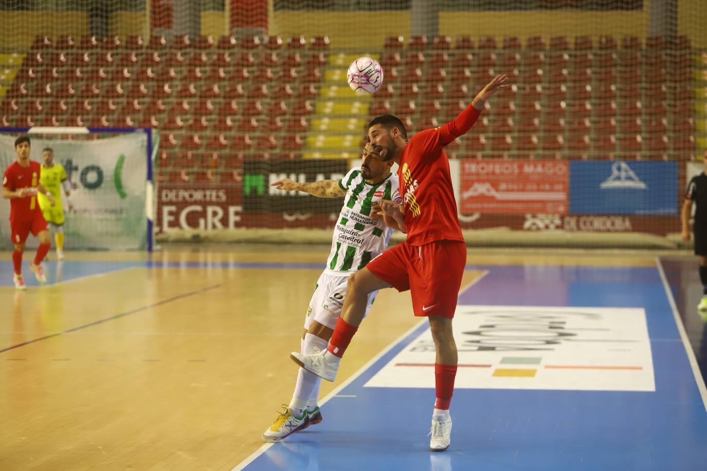 El Córdoba Patrimonio - Santa Coloma de fútbol sala, en imágenes