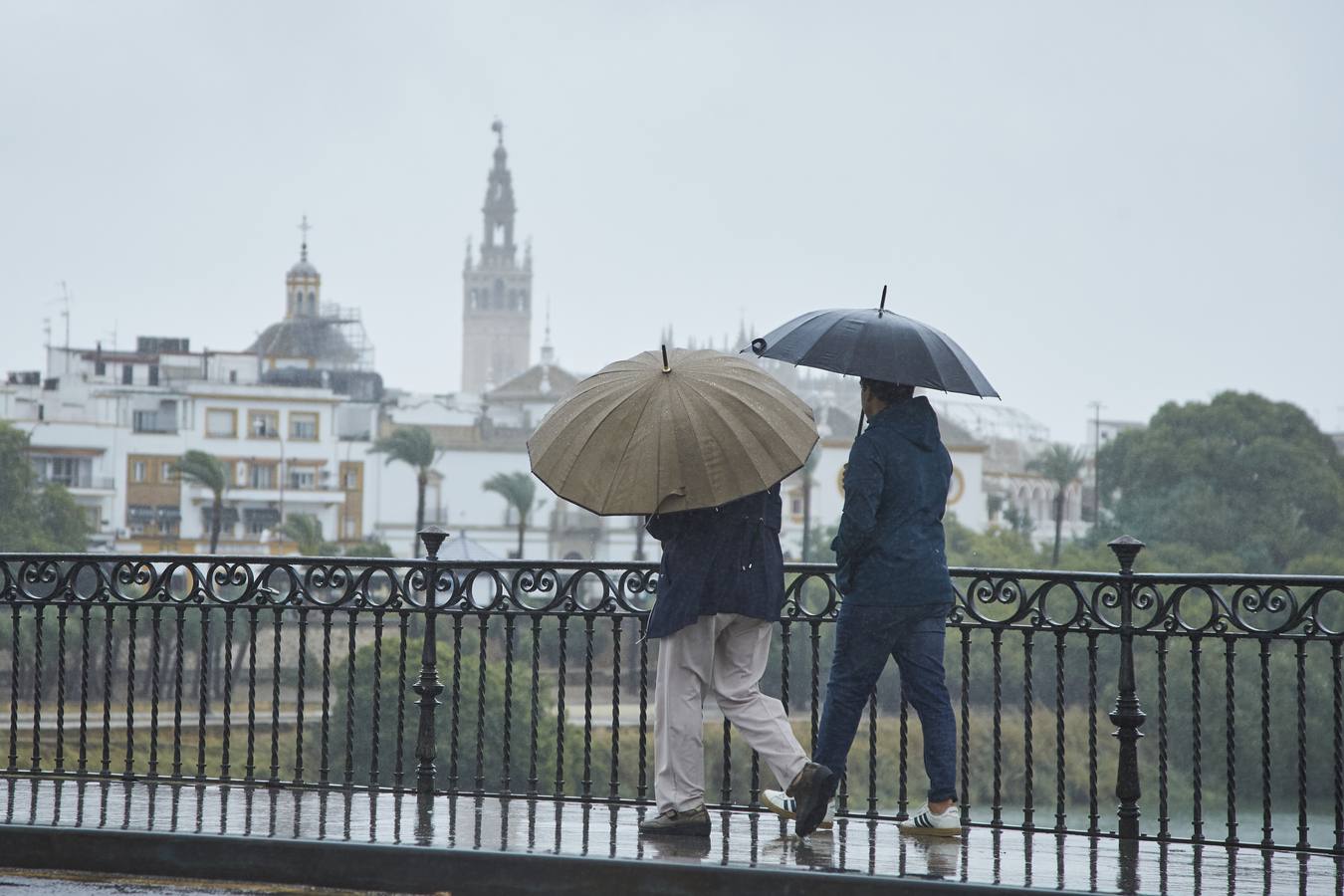 Lluviosa jornada de sábado en Sevilla