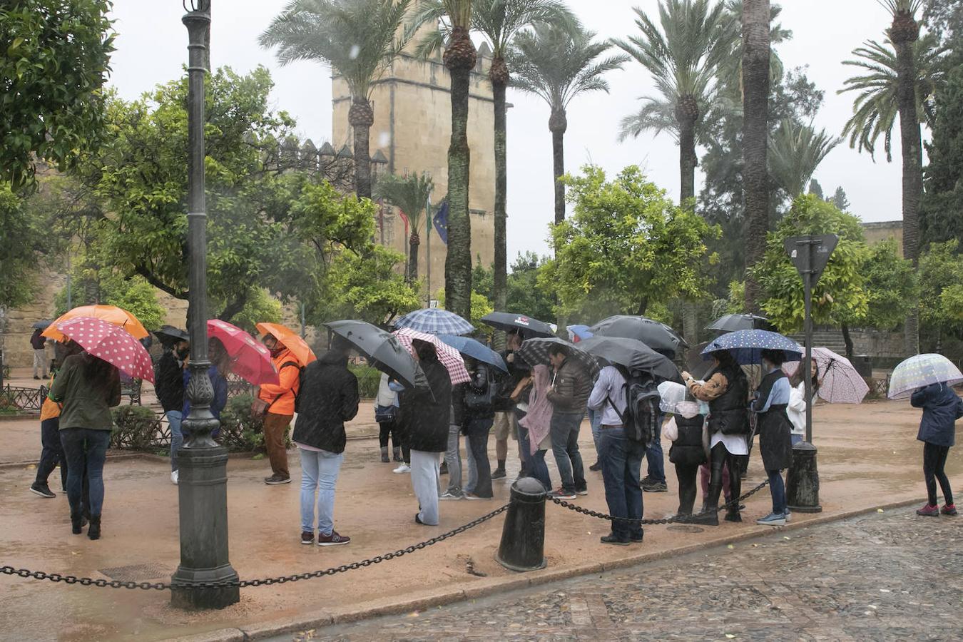 El turismo en el Puente de Todos los Santos en Córdoba, en imágenes