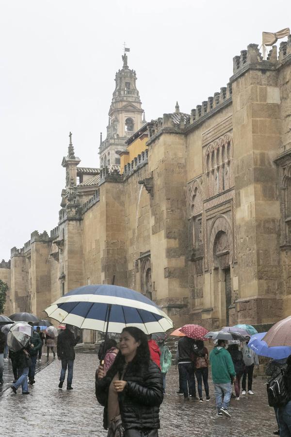 El turismo en el Puente de Todos los Santos en Córdoba, en imágenes